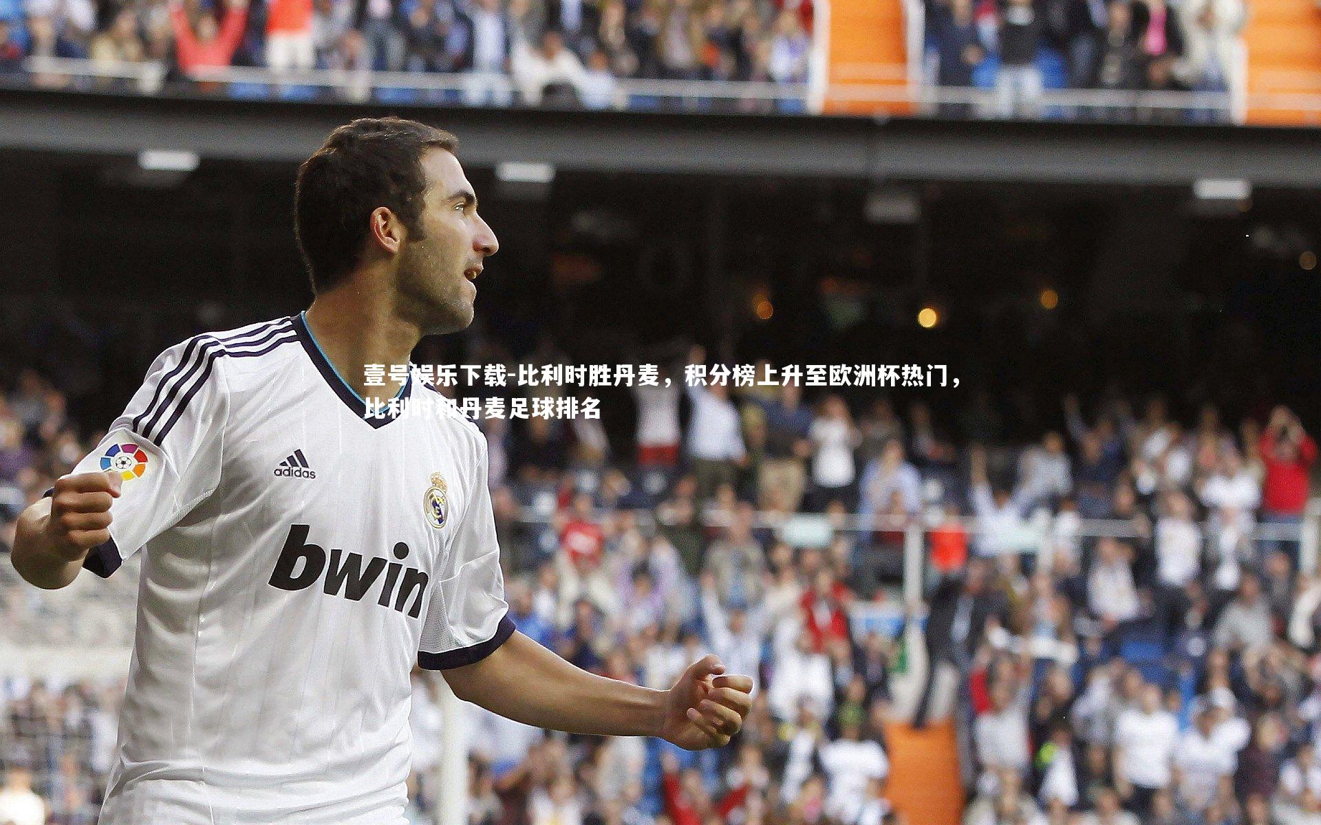 比利时胜丹麦,积分榜上升至欧洲杯热门,比利时和丹麦足球排名